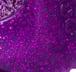 Purple Glitz