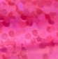 00244 fluo pink