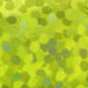 00245 fluo yellow