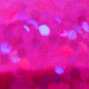 00249 Fuchsia