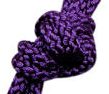 02418 Violet