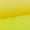 02478 yellow