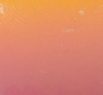 02480 pink-yellow