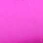 02603_Fuchsia