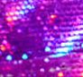 02152 Fuchsia
