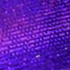 02227 Violet