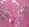 7042 Violet Pink