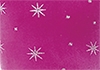 NR Stars TQ Mondor